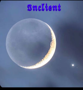 Meet your Posher, Vinny